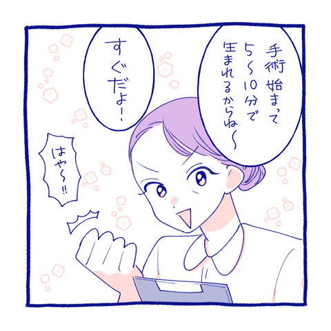 teo14-8