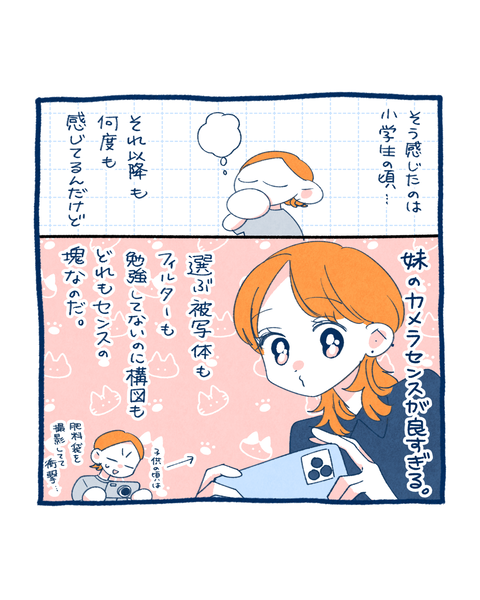 カメラコンプレックス2
