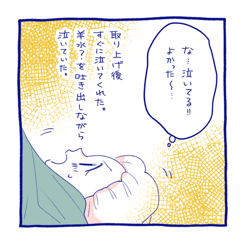 teo22-7