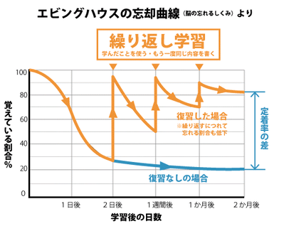 忘却曲線