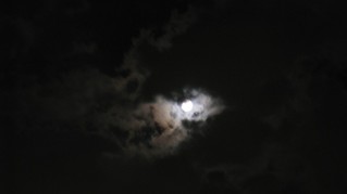 IMG_1897