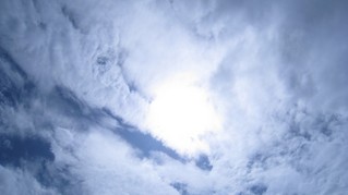 IMG_1883