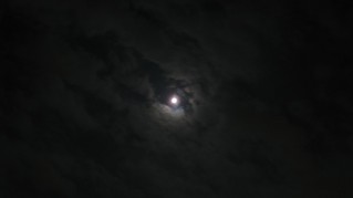IMG_1918