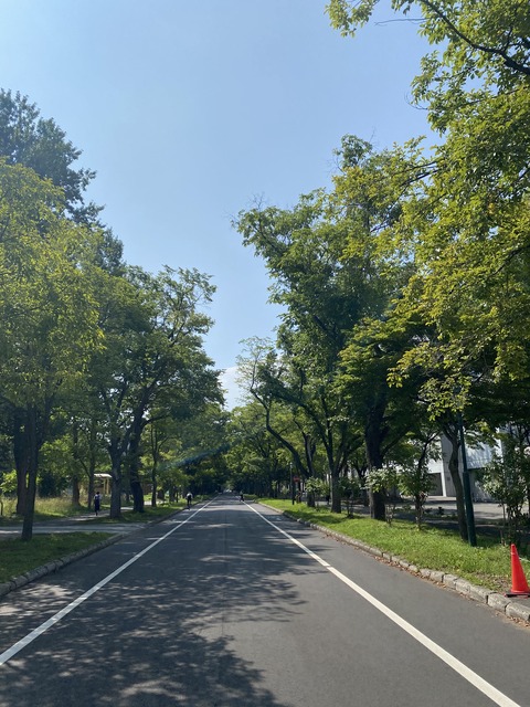 第1位獲得！】 白くまくん ルームエアコン HITACHI RAS-S22C:☆SALE 