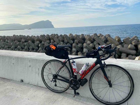 数量限定 Harley Davidson Flsts 超美品