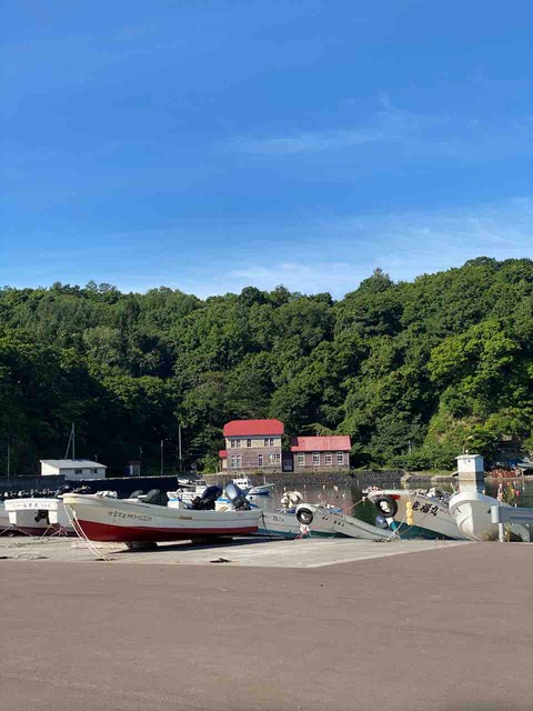 セールSALE☆】 人気☆キリムラグ190×130ｃｍ ▽送料無料:【ファイナル 