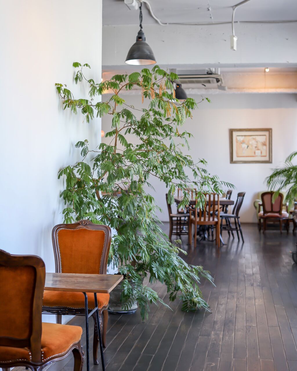 大阪 箕面 コーヒーがおいしいカフェ Cafe Matin カフェマタン ひー カフェきろく Powered By ライブドアブログ 大阪 箕面 コーヒーがおいしいカフェ Cafe Matin カフェマタン ひー カフェきろく Powered By ライブドアブログ
