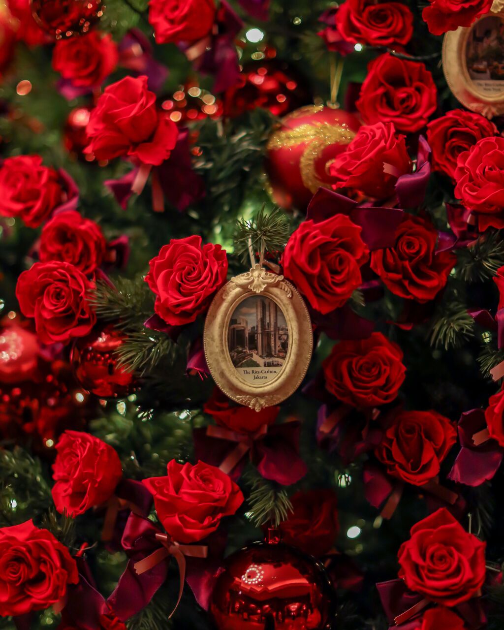 アフタヌーンティーでクリスマスケーキを食べ比べ ザ リッツカールトン大阪 ひー カフェきろく Powered By ライブドアブログ