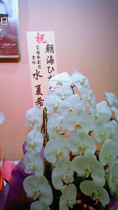 ちょ 気まぐれ日記 ライトファンのヅカ私的覚書 10年観劇覚書 ちょ 気まぐれ日記 ライトファンのヅカ私的覚書 10年観劇覚書