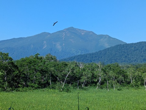 PXL_20250723_232036693