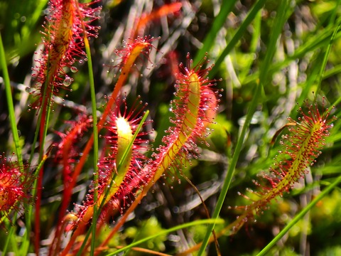 P7240578