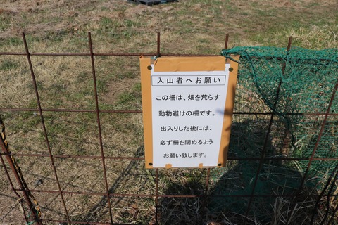 20200326083338_IMG_5411