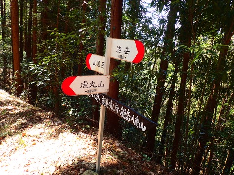 P3100087