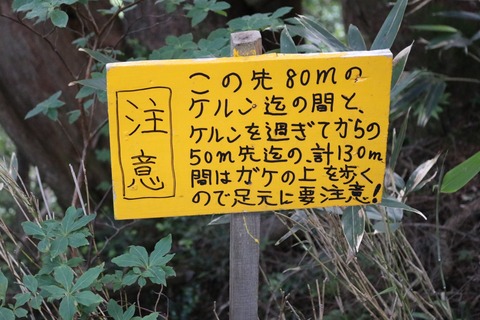 20190801055851_IMG_0895
