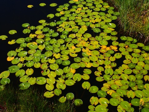 P7240584