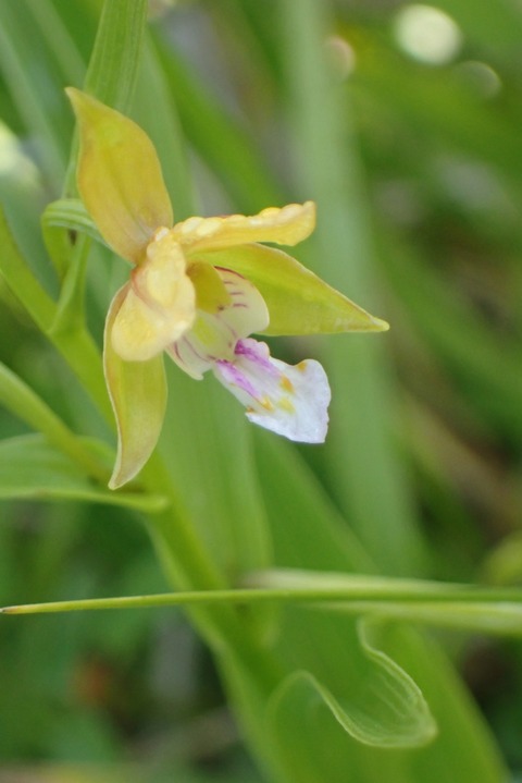 P7240566
