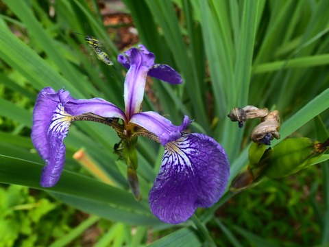 P7230470