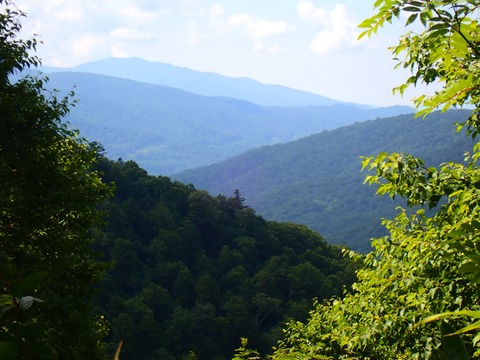P7230452