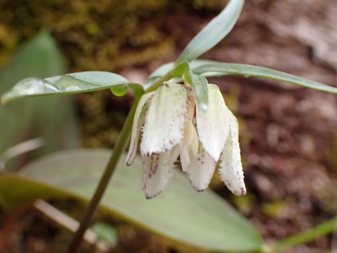 P4070241