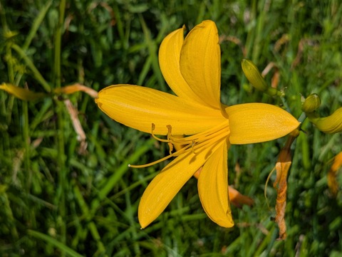 PXL_20250724_000155489