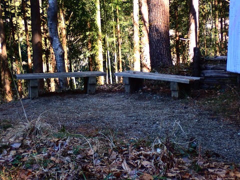 P3100051
