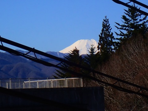 P3100026