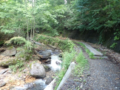 P7230443