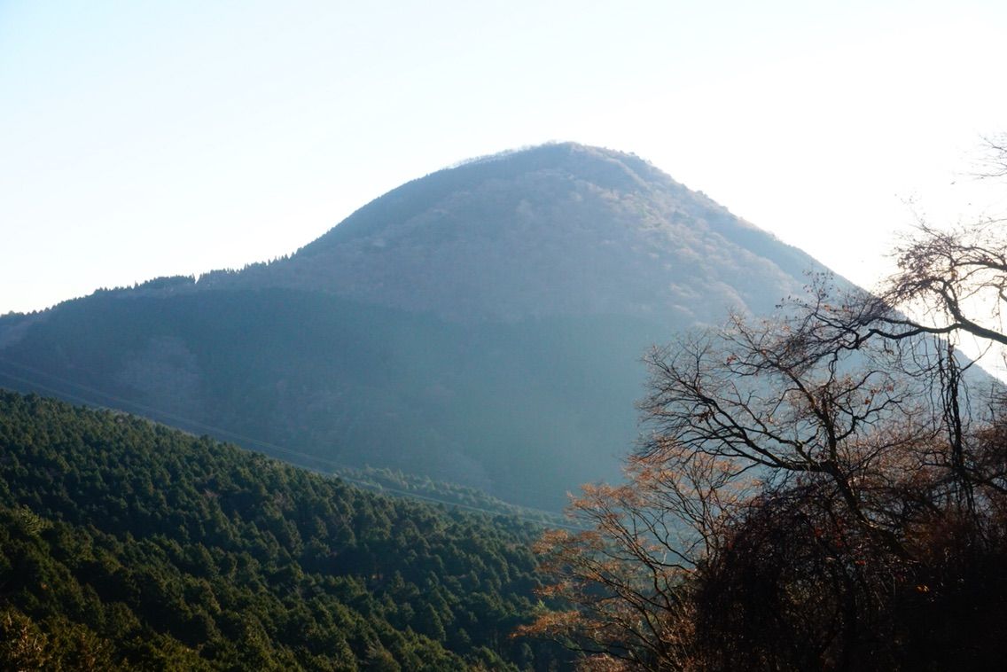 矢神岳