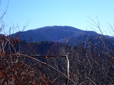 P3100054