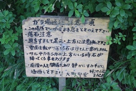 20190801075901_IMG_0945