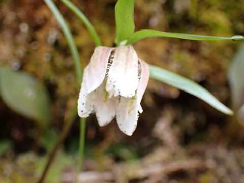 P4070240