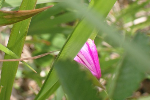 P7230530