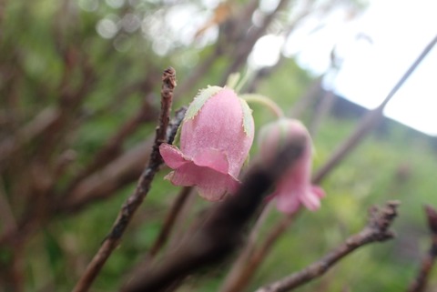 P7230490