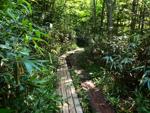 P7230453