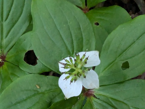 PXL_20250723_020540312