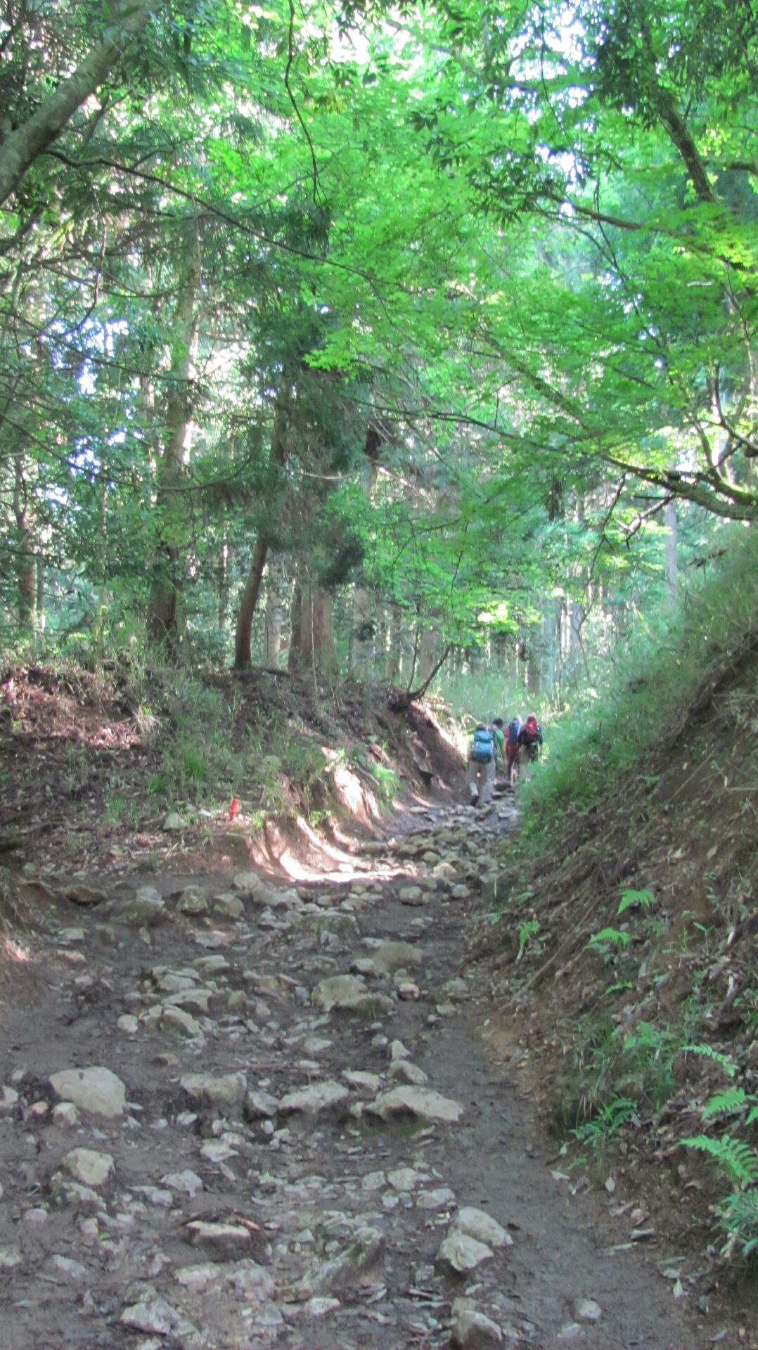 伊吹山登山 Hikagedoのblog 伊吹山登山 Hikagedoのblog