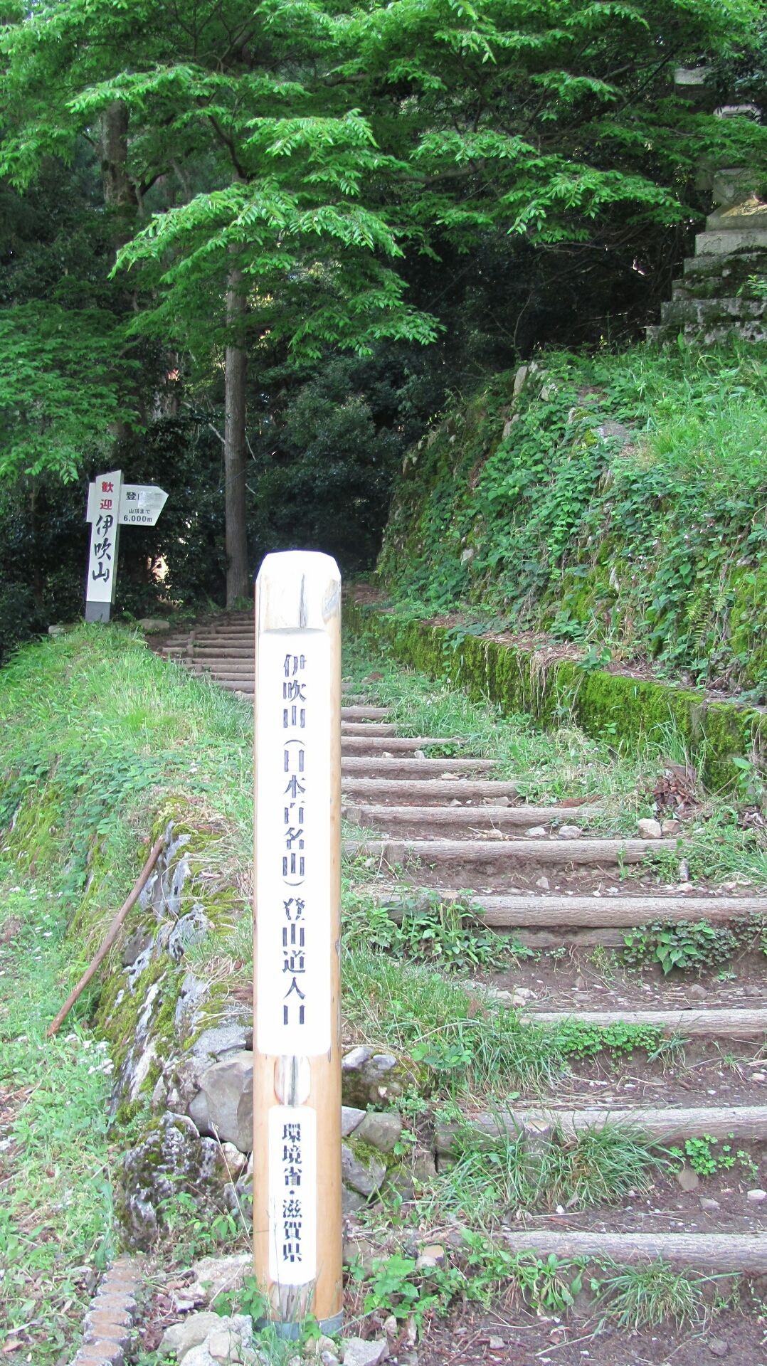 伊吹山登山 Hikagedoのblog 伊吹山登山 Hikagedoのblog