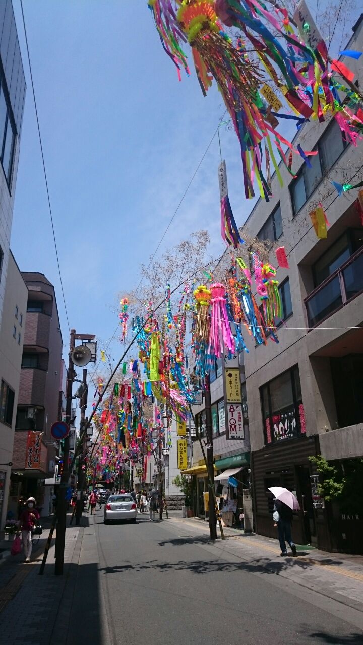 高幡不動尊あじさい祭り いつも日陰道