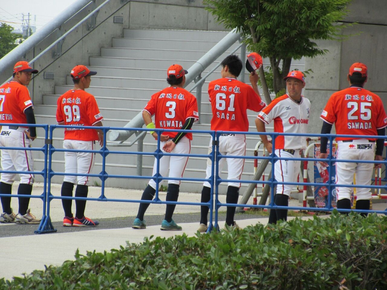 新潟アルビレックスbcの後期ホーム開幕戦に行ってみた 語学 野球のフロンティア 新潟アルビレックスbcの後期ホーム開幕戦に行ってみた 語学 野球のフロンティア