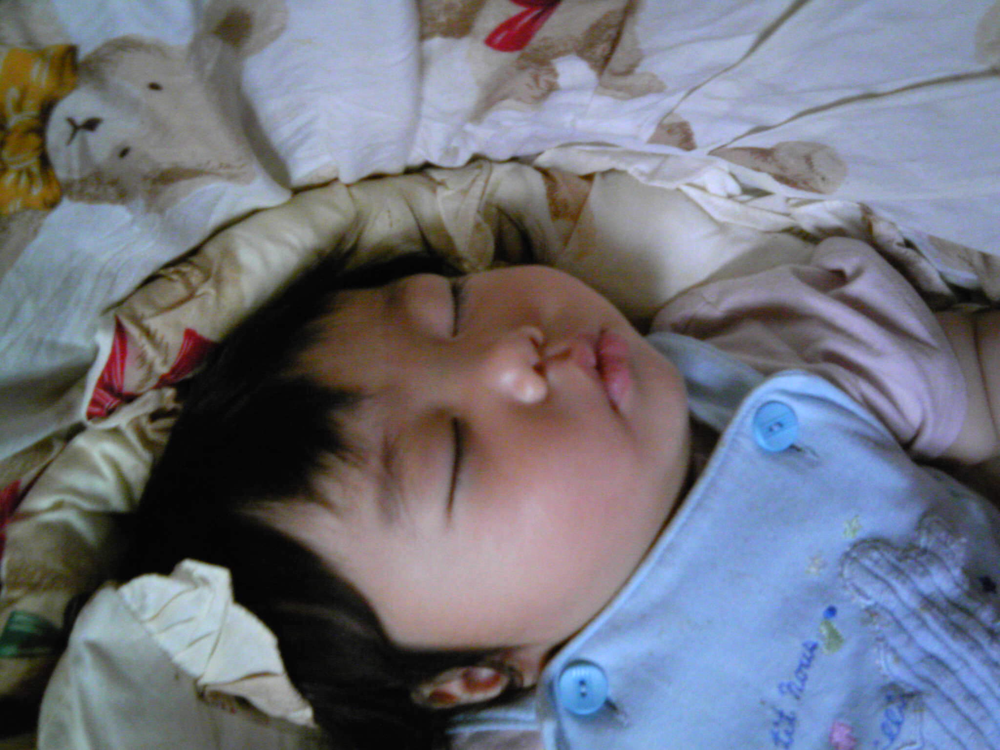 ボンレスハム 人間育成日記