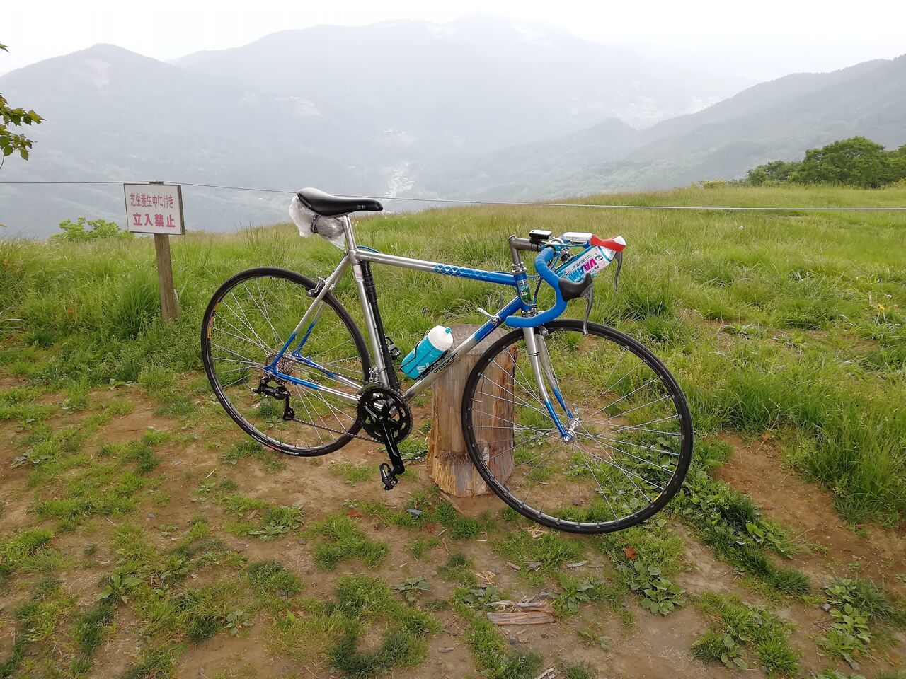 カーボンフレームVitus Vitesse Evo購入の巻 : ビシクレタ郎の自転車