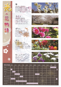 冠山総合公園光の花物語