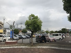 IMG_3125