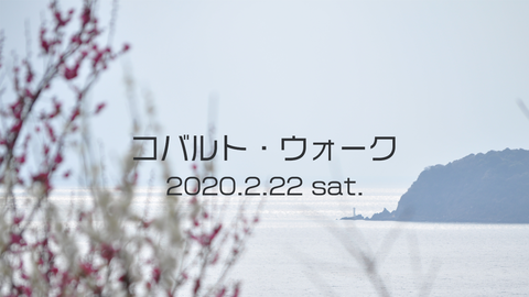 コバルトウォーク2020HD