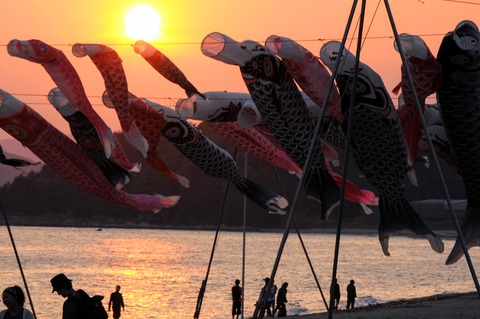 koinobori_sunset_sn-3