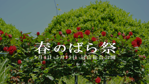 春のばらまつり2019