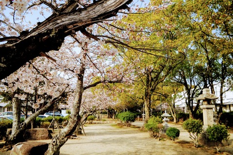 熊野神社参道