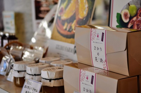 ばら祭_冠山総合公園-26