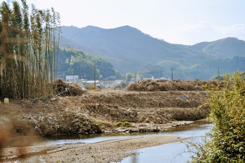 島田川沿い-29