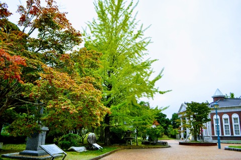 伊藤公記念園紅葉具合
